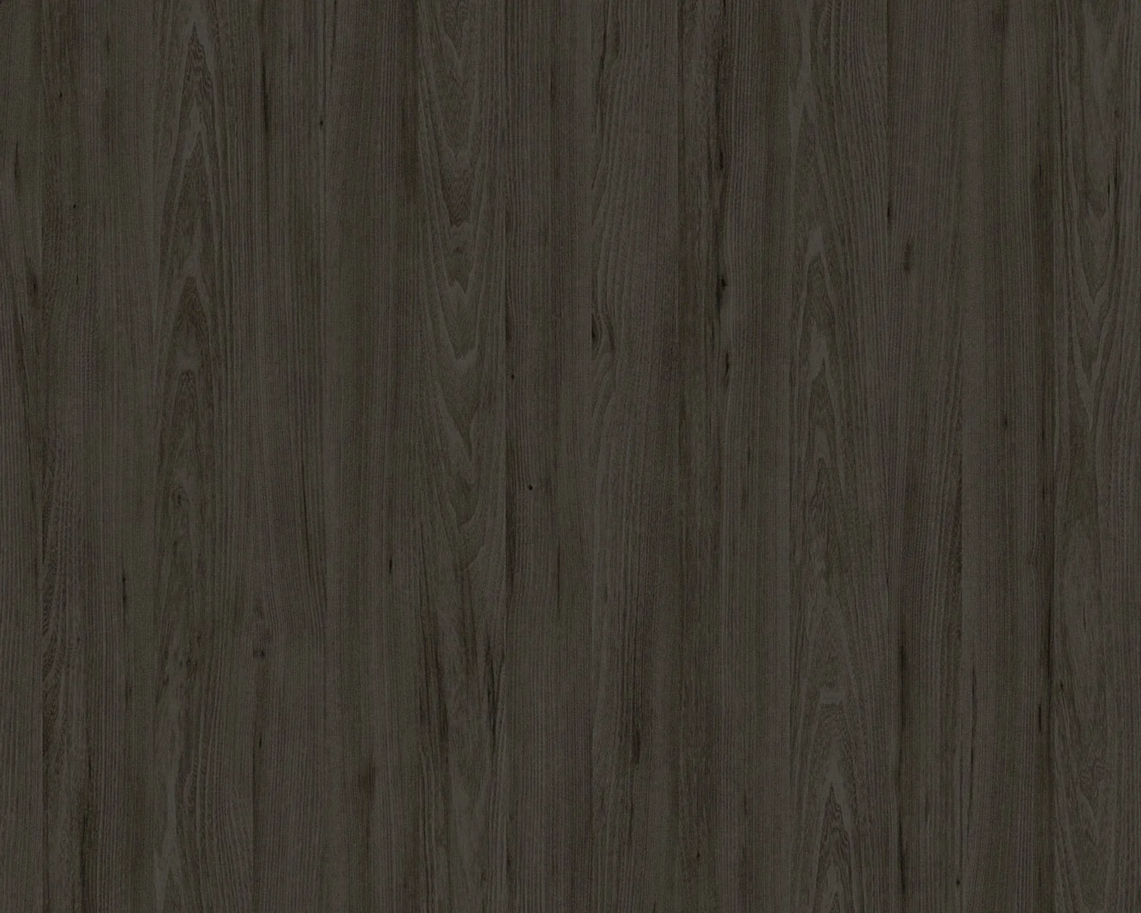 提沃里榆木進階款